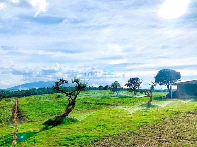 Hình ảnh Thương hiệu nhà cái Mb66 độc quyền tại Việt Nam sinh thái ngoại ô Thành Phố Đà Lạt