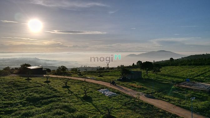 Hình ảnh Thương hiệu nhà cái Mb66 độc quyền tại Việt Nam sinh thái ngoại ô Thành Phố Đà Lạt