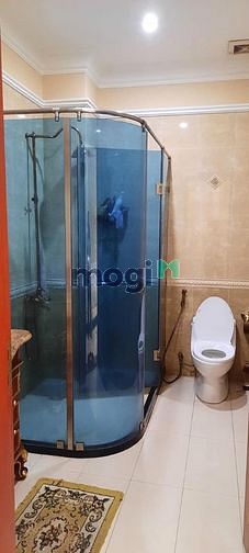 Hình ảnh Biệt thự giữa trung tâm TP. HCM nội thất siêu cao cấp gỗ đỏ - Cách Mạn
