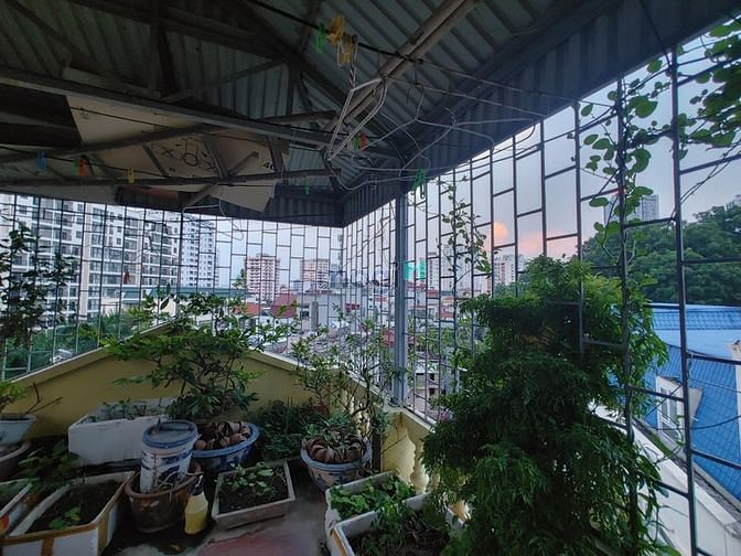 Hình ảnh Cho thuê nguyên căn phố Nguyễn Phong Sắc , Cầu Giấy.