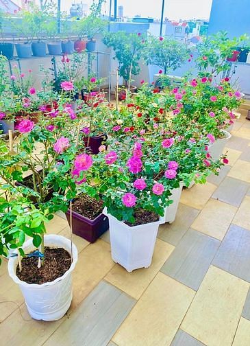 Hình ảnh Bán nhà Thạch Lam Tân Phú 60m2 3 tầng nhỉnh 5 tỷ .TL