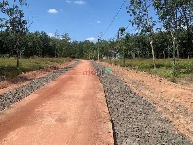 Hình ảnh Bán gấp trong tuần (đến 10/1): Xã Tân Lợi, Đồng Phú Bình Phước