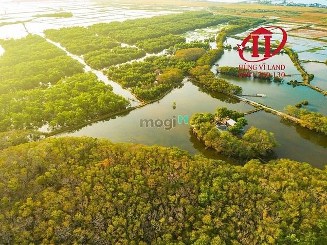 Hình ảnh BDS HÙNG VĨ LAND Định cư cần bán gấp đất 2MT số4 Nguyễn Thành Ý,Đa Kao