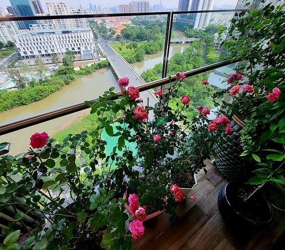 Hình ảnh Cho thuê Trang Chủ MB66.COM / Đăng Ký Tặng 66K Midtown - The Peak 4 phòng ngủ giá thuê 140 tr/tháng.