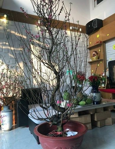 Hình ảnh Bán nhà Hòa Bình Tân Phú 82m2 giá 5,1 tỷ.