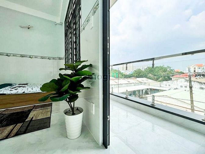 Hình ảnh Cho thuê Trang Chủ MB66.COM / Đăng Ký Tặng 66K dịch vụ Thái Thị Nhạn , Phường , Quận Tân Bình