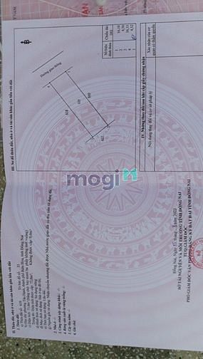 Hình ảnh Bán 5 lô đất giá Trang MB66.COM Chính Thức - MB 66 Uy Tín 1tỷ4-->1tỷ650tr . Tp Biên Hoà