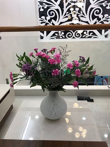 Hình ảnh Hẻm Xe Tải 8m- NGUYỄN ĐÌNH CHIỂU- Q.3- 32.5m2- 5Tầng- Tiện Kd Buôn Bán
