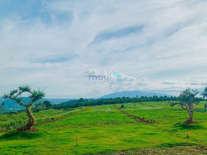 Hình ảnh Bán đất vườn tại Lâm Hà, giá chỉ từ 1.3triệu/m2