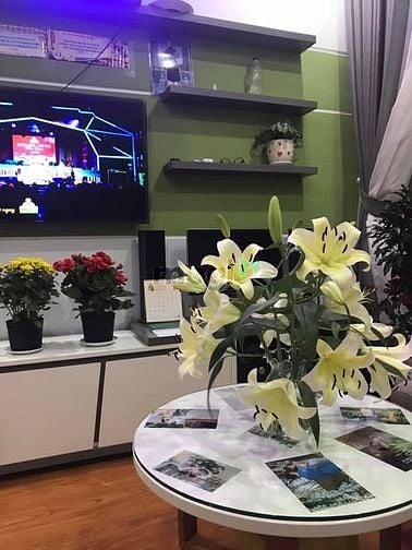 Hình ảnh Cần bán căn cộ 2pn chung cư Sơn An, full nội thất, gần KCN Amata