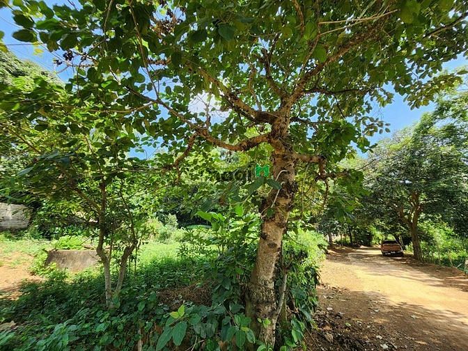 Hình ảnh Chỉ 650tr có đất bám mặt hồ dài 50m thổ cư 200m dt 789m giá cực rẻ cần