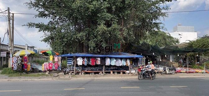 Hình ảnh Bán trước Tết. Mặt tiền Hoàng Hữu Nam. 3227m2 thổ cư