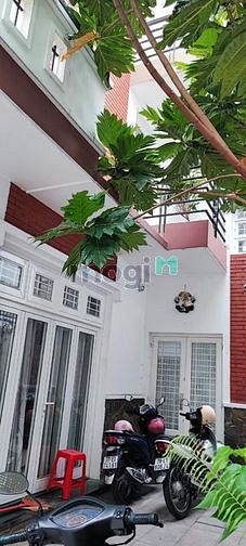 Hình ảnh Biệt thự Tân Canh 116m2, Phường 1, Tân Bình