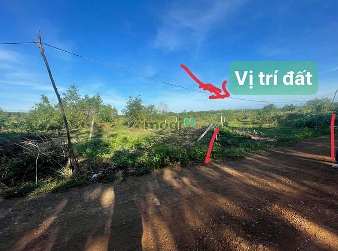 Hình ảnh Giá rẻ - bán đất thị xã Chơn Thành tỉnh Bình Phước - chỉ từ 3xx triệu