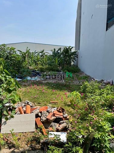 Hình ảnh Kêu bán gấp 1 nền ngay khu dân cư BC tphcm giá rẻ