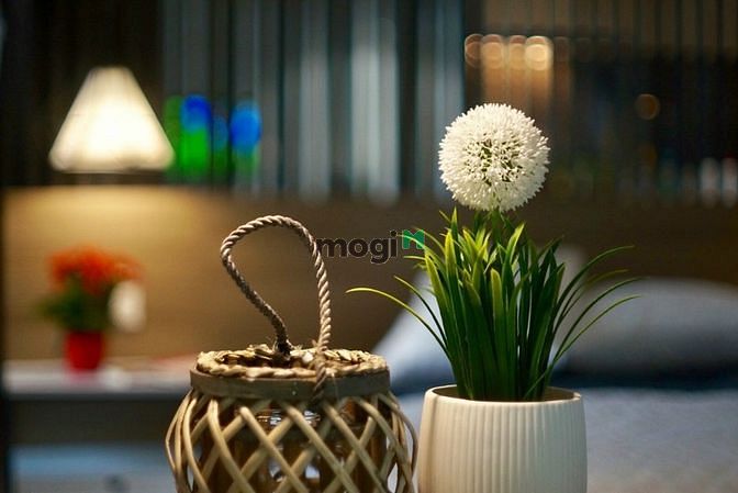 Hình ảnh ✅Căn Hộ Luxury _ gần Sân Bay Tân Sơn Nhất _ Full Nội Thất _ new ✅
