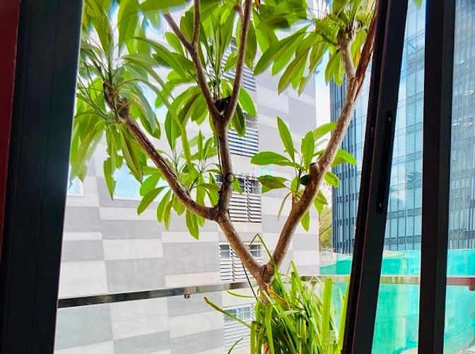 Hình ảnh ✅Căn Hộ Luxury _ Ban Công Sân Vườn _ Toà Nhà Mới Xây _ Full Nội Thất✅