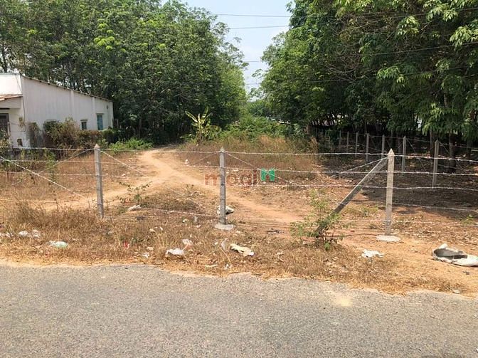 Hình ảnh chính chủ cho thuê đất củ chi 2 mặt tiền trước sau