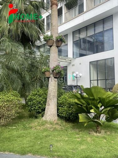Hình ảnh Chung cư cao cấp quận tân bình_phú nhuận