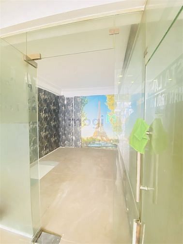 Hình ảnh Cho thuê nhà nguyên căn 1 mb + 9 pn, bình tân
