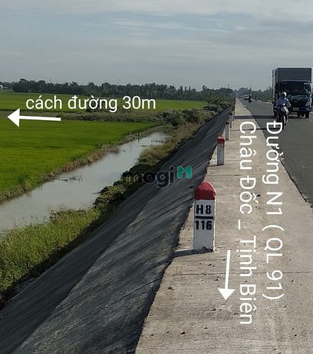 Hình ảnh Bán 3.5 công đất ruộng Châu Đốc có sổ đỏ