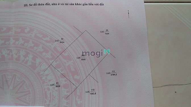 Hình ảnh Bán 3.5 công đất ruộng Châu Đốc có sổ đỏ