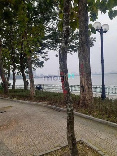 Hình ảnh Cho thuê Trang Chủ MB66.COM / Đăng Ký Tặng 66K CCMN 45m2 View Hồ Tây thoáng mát nhiều tiện ích