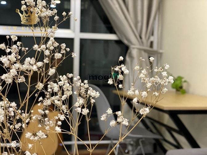 Hình ảnh Mb6623 nạp rút nhanh chóng studio siêu rộng đường Bạch Đằng, Tân Bình, 40m2