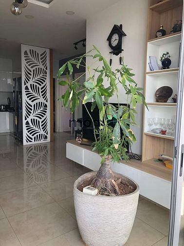 Hình ảnh Cần bán Trang Chủ MB66.COM Chính Thức Opal Riverside, Thủ Đức giá 2,98 tỷ 98m2 3pn 2wc
