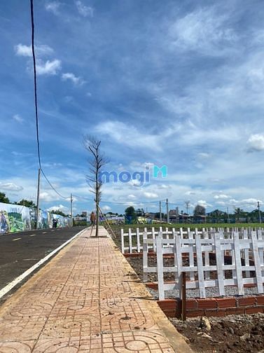 Hình ảnh bán đất cách sân bay long thành 4km vị trí hiếm có