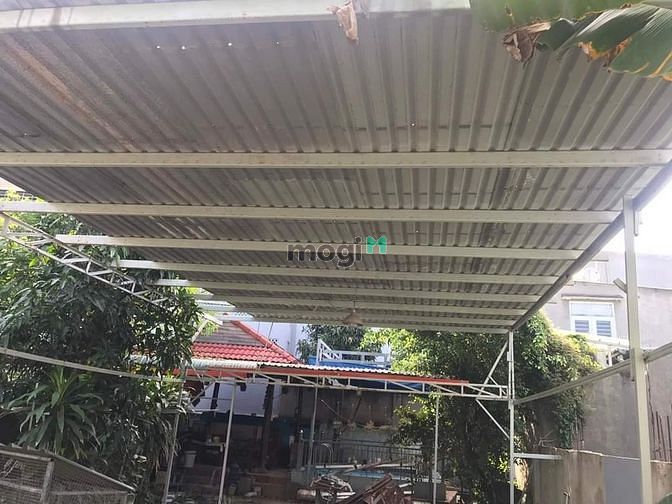 Hình ảnh Cho thuê đất nhà vườn bình nhâm sát lái thiêu