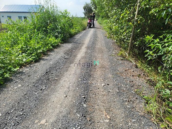 Hình ảnh 1000m2 Đất vườn MT đường ô tô tới đất, khu vực dân cư