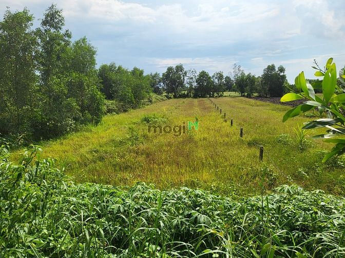 Hình ảnh 1000m2 Đất vườn MT đường ô tô tới đất, khu vực dân cư