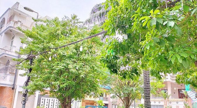 Hình ảnh Villa Compound NTTuyển Tây Bắc, 7,5x20m, P10 PN