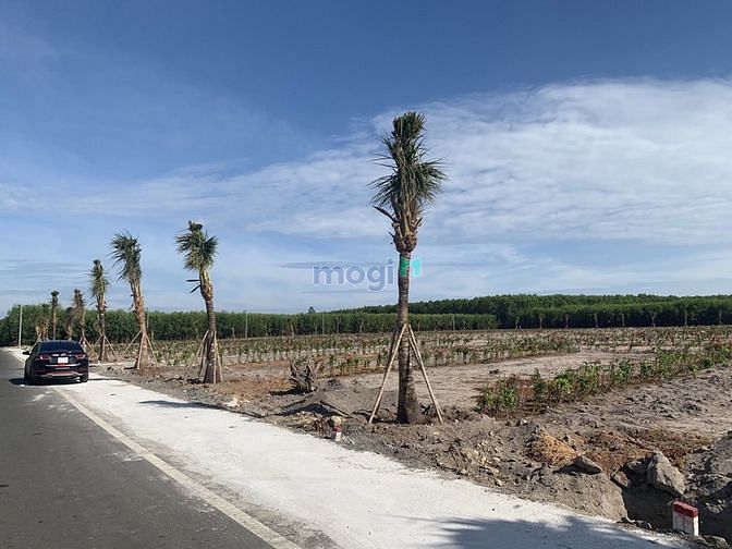 Hình ảnh Bán Đất Thổ Cư Gần Sân Bay Lộc An - Bà Rịa Vũng Tàu