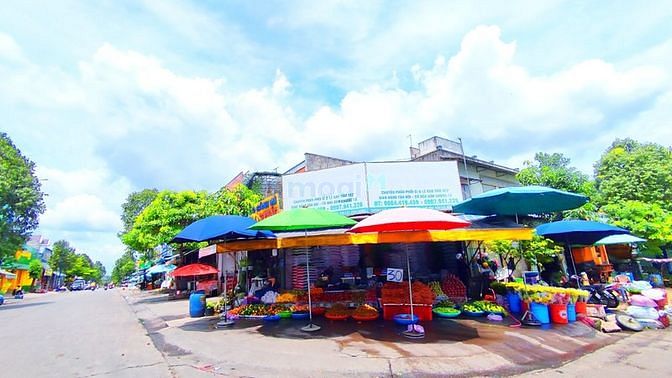 Hình ảnh C/Chủ Bán gấp 700m2 Đát Sát Chợ,Trường ĐH,KCN,SHR Thổ Cư 100% 1,4tỷ