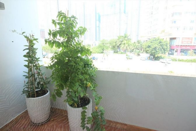 Hình ảnh ✅Căn Hộ Cao Cấp_1 Phòng Ngủ_Ban Công Lớn_Gần Khu Central Park✅