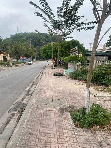Hình ảnh Bán đất nền khu kinh tế Vân Đồn 80m2 phun thổ cư
