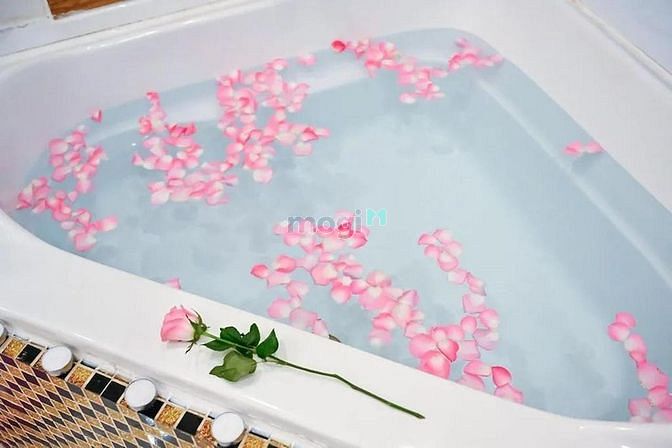 Hình ảnh Mặt bằng kinh doanh khách sạn 22 phòng Tân Bình