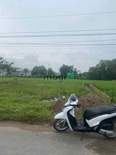 Hình ảnh Bán đất giá rẻ ở khu vực ĐỨC HÒA