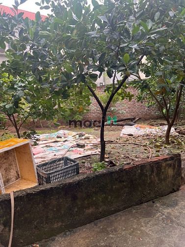 Hình ảnh Nợ tiền MB66 là nhà cái uy tín hàng đầu tại Việt Nam nên cần ra gấp nhà đang ở giá tốt