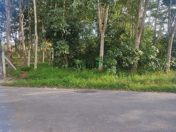 Hình ảnh Siêu phẩm đất vườn Hơn 800m2, có 200m2 thổ cư, Giá 3,3 tỷ