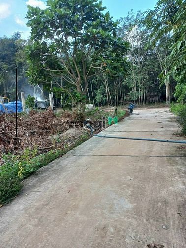 Hình ảnh Bán Đất chơn thành sát cổng khu công nghiệp minh hưng hàn quốc