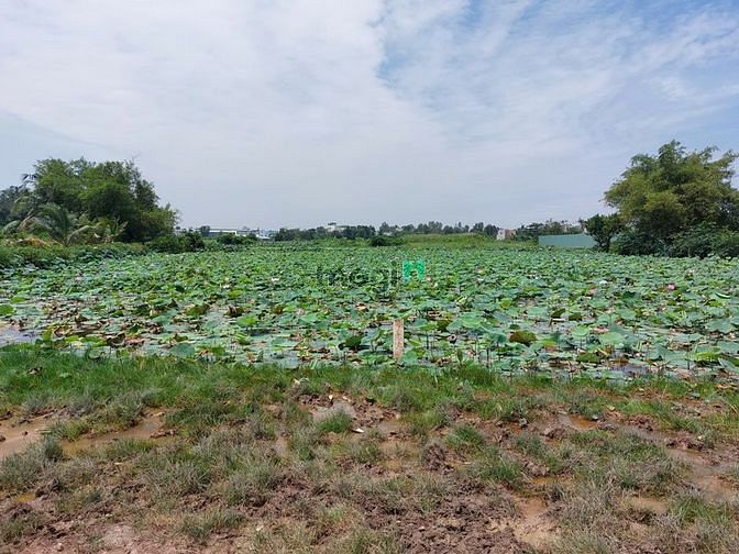 Hình ảnh Đất MT Dự Án Kênh Tham Lương, Tân Tạo, Bình Tân, 3.500m2, chỉ 45 tỷ