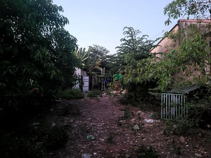 Hình ảnh Cho thuê đất mt kênh tx33, có điện nước