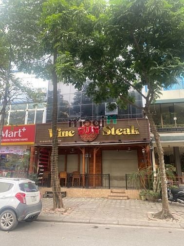 Hình ảnh Cho thuê nhà MẶT PHỐ THÁI THỊNH 250m2 MT 10M 70tr/th CỰC ĐẸP
