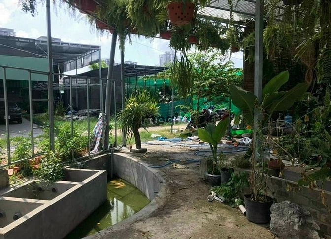 Hình ảnh cho thuê đất bán cây kiểng,đá lăng bộ, mặt tiền Nguyễn Văn Linh giá rẻ