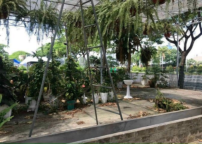 Hình ảnh cho thuê đất bán cây kiểng,đá lăng bộ, mặt tiền Nguyễn Văn Linh giá rẻ
