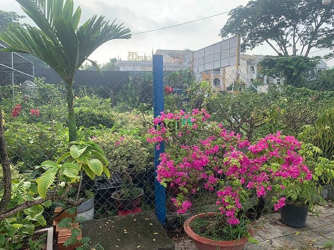 Hình ảnh cho thuê đất bán cây kiểng,đá lăng bộ, mặt tiền Nguyễn Văn Linh giá rẻ