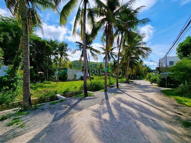 Hình ảnh Bán đất Vĩnh Thái cách bệnh viện TP Nha Trang 100 m